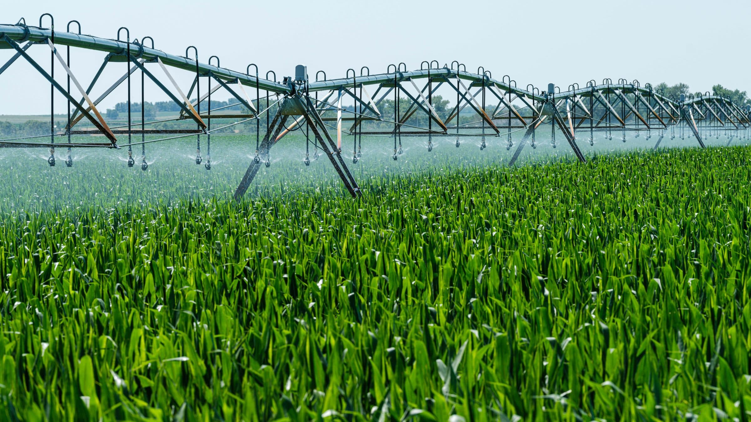 Irrigation over a crop field