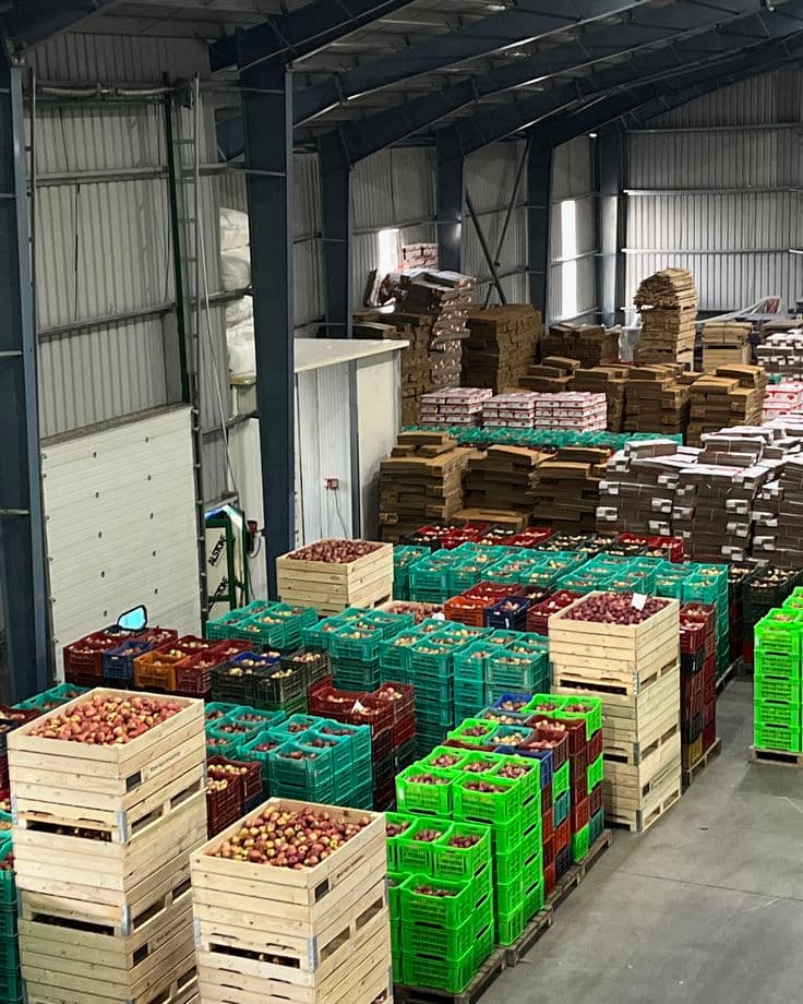 Warehouse hall with crates of fruit and vegetables